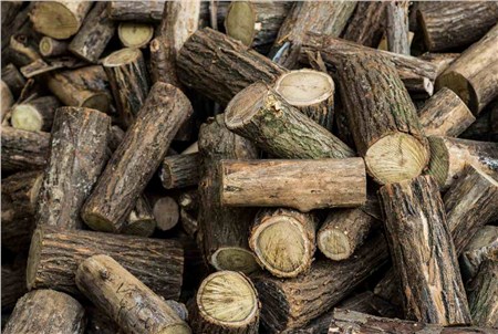 DRYING FIREWOOD