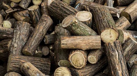 DRYING FIREWOOD